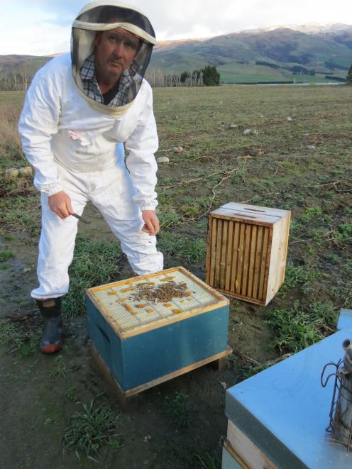 Apiculture New Zealand board member and commercial apiarist Russell Marsh, of Ettrick, said the honey commodity levy was most important step the bee industry had taken in decades. Photo: Yvonne O'Hara