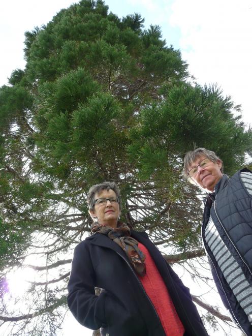 Balclutha residents Maxine Evans (left) and Lorraine Pringle pictured by Christie St playground....