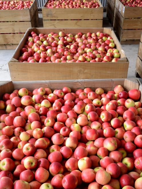 The horticulture sector was down 4.3% in October, undermined by apple prices, which fell 15.2%. ...