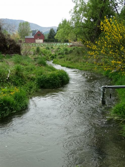 Mill Creek, near Lake Hayes. PHOTO: GUY WILLIAMS