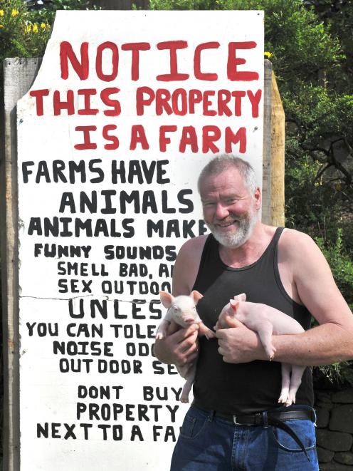 Pig farmer Pieter Bloem installs an educational sign outside his Otago Peninsula property. PHOTO:...