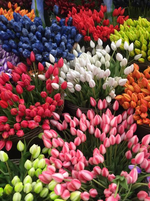 Tulips are ready for purchase at Amsterdam's floating flower market. Photos: Sarah Vilela da Silva 