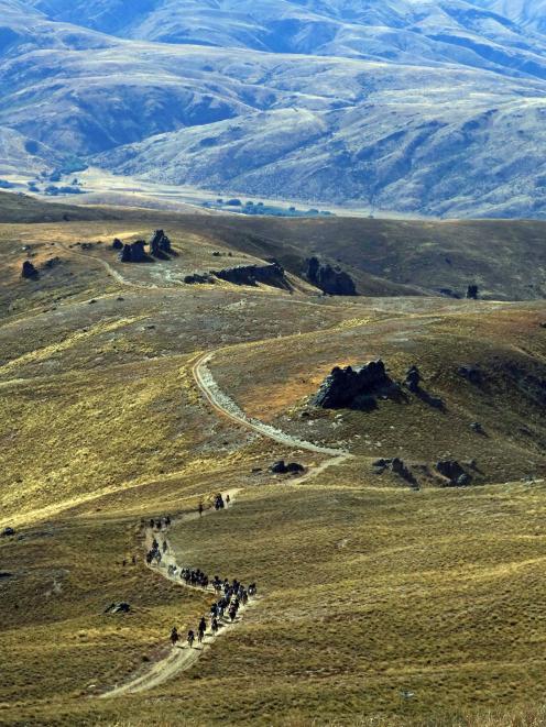One of the horse trails also came up Grandview track on day 3 and our riders soaked up the compliments the riders flung out — ‘‘How do you bike up these bloody hills?’’