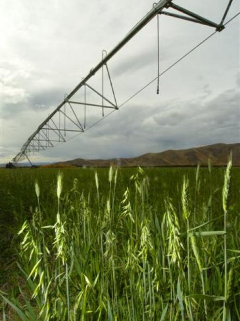 Otago irrigators want management of Otago's water to remain with the regional council. Photo by...