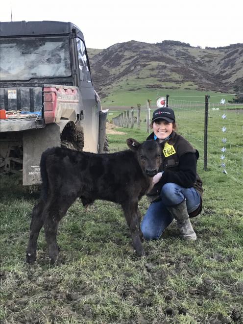 Kate McCallum with one of her young Angus animals. Rockley Stud focuses on selling bulls as yearlings.Photo: Rockley Angus