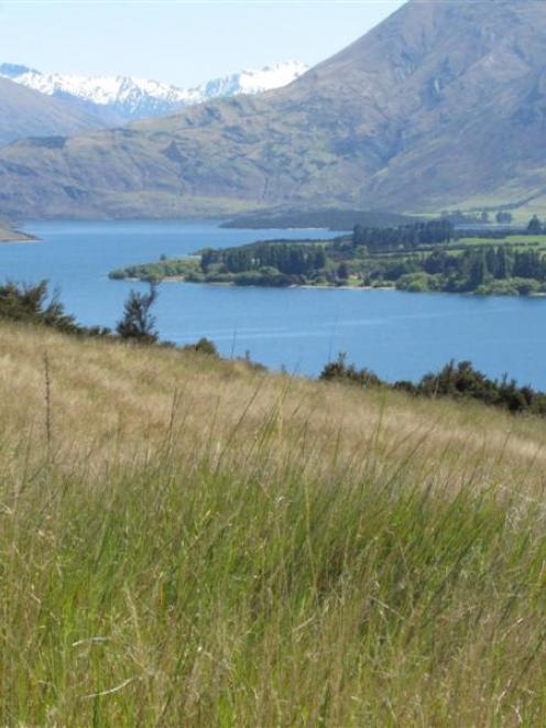 The view of Stevensons Arm, Lake Wanaka, from privately owned land in Aubrey and Outlet Rds,...