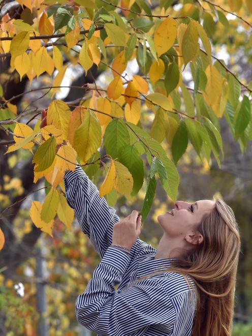 University of Otago student Alice Ritter von Marx (22) makes the most of the remaining autumn...