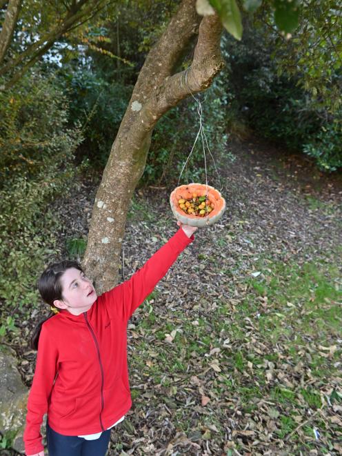 Pupil Dara Houlahan (10) with a pumpkin bird feeder at St Leonard's Primary School. 