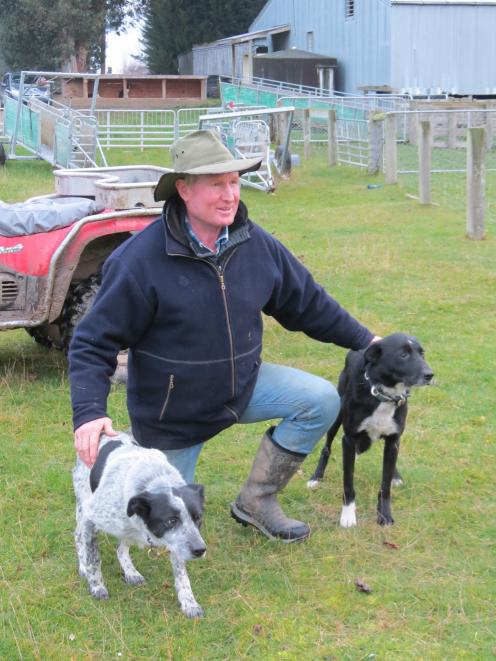 Brian Dickison, of Waikaka, said honest dogs were important for dog trialling success. Cole (left) and Mack are his top trialling team. Photo: Yvonne O'Hara