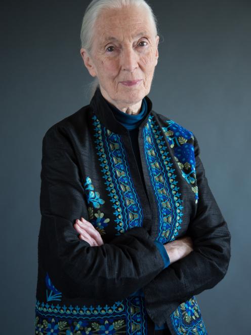 Conservation icon Dr Jane Goodall. Photo: National Geographic 