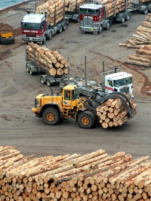Logs arrive at Port Otago ready to be shipped to Asian markets. Photo: Allied Press Files