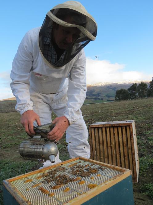 Russell Marsh, of Marsh's Honey, Ettrick, is in favour of upskilling the industry. Photo: Yvonne...