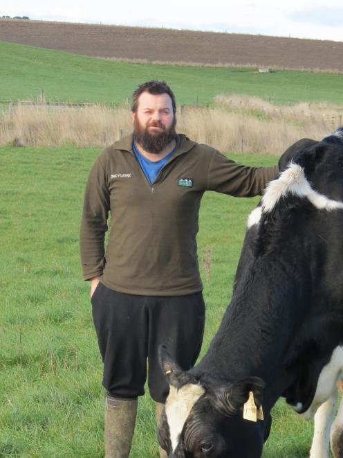 Dairy farm manager Richard Ray, of Clydevale, pictured with one of the cows from his Array Holsteins stud, was pleased when one of his two-year-old heifers won the national Holstein Friesian New Zealand Broomfield Senior Youth Heifer competition last year