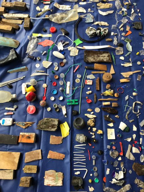 Litter found at Pilots Beach, in Dunedin. PHOTO: JANICE HUANG