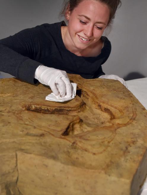 Otago Museum conservator Shannah Rhynard-Geil dabs a moa footprint excavated from the Kyeburn...