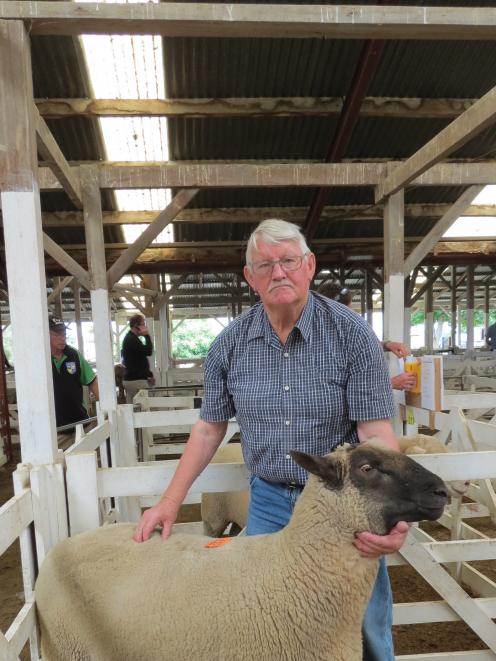 New Zealand Sheep Breeders’ Association chairman and sheep breeder Jim Berney, of Owaka, sold four South Suffolk rams at the fair, prices ranging from $800 to $2700. Photo: Yvonne O'Hara