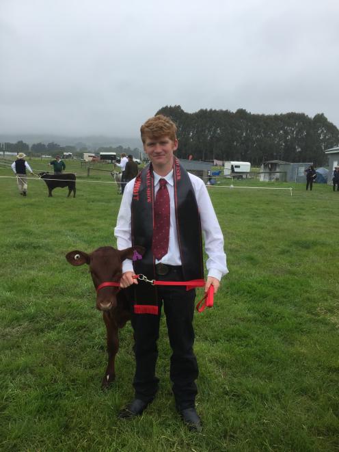 Jared Rutten, (16), of Invercargill, has been showing calves most of his life and doing well at it. He recently won the Intermediate Aaklands Clutha Dairy Handlers competition, with the most points earned at the combined West Otago, South Otago and A&P sh