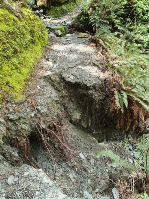 One of two more slips discovered on the Rob Roy Track. Photo: Supplied