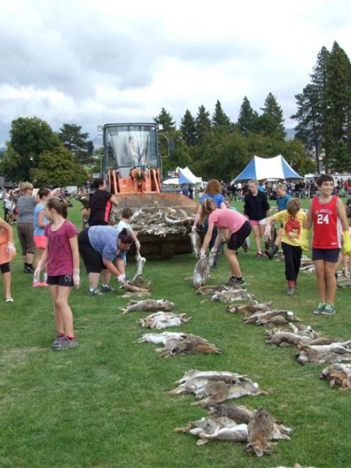 After the rabbits bagged in the Great Easter Bunny Hunt are counted,  Alexandra Scout Group...