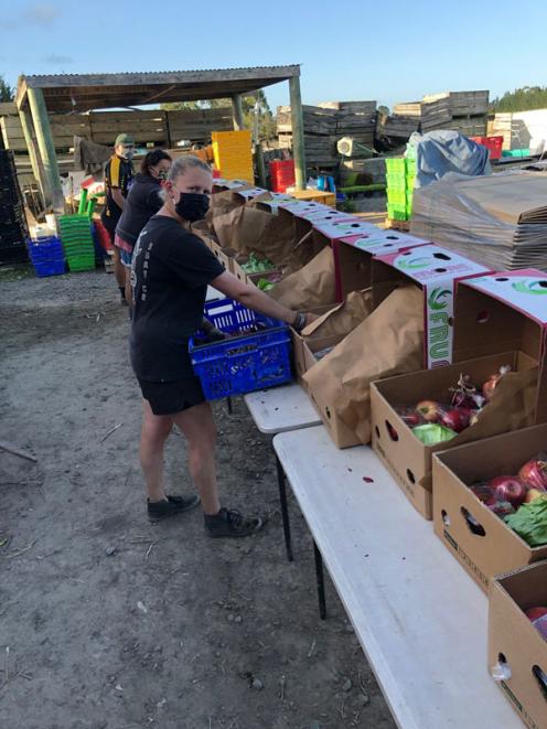 Loading up: The team at Grown, of Sefton, are busy packing boxes of vegetables for home deliveries.