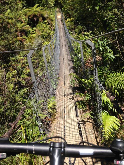 A swing bridge on the Mangapurua Track. PHOTO: ELEANOR HUGHES
