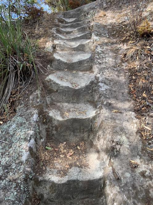 Worn stone steps on the track to  Whitianga Rock. 