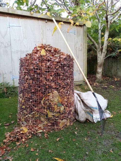 A simple cage of chicken wire will allow the leaves to break down slowly. At the bottom there...