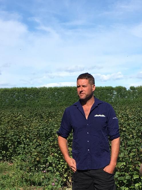 South Canterbury blackcurrant grower Hamish McFarlane. PHOTO: SUPPLIED