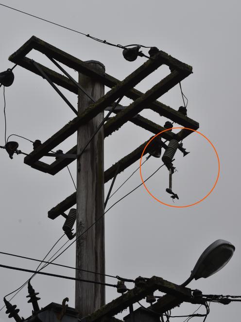 The power pole was left damaged by the lightning strike. Photo: Gregor Richardson
