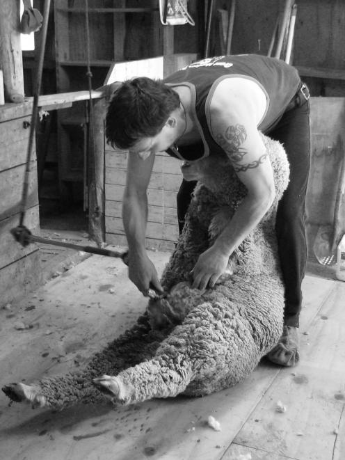 Grant Murdoch gave up shearing when he was 16 before giving it another shot three years later....