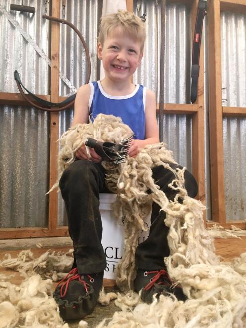 Sid Strachan (6) takes a break from ‘‘shearing’’on his family’s farm in North Otago yesterday....