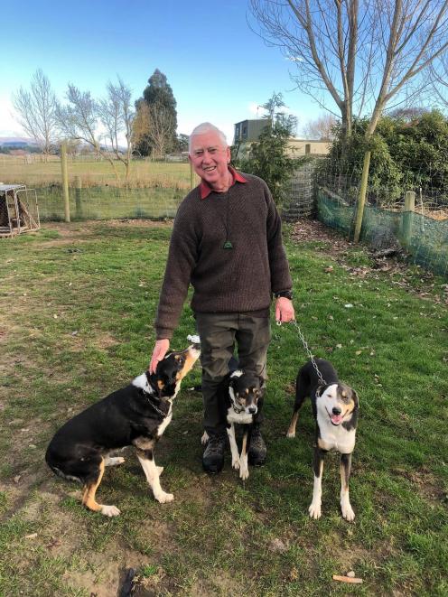 Des Lysaght has enjoyed regular training of (from left) Ace, Luke and Bright on his son’s...