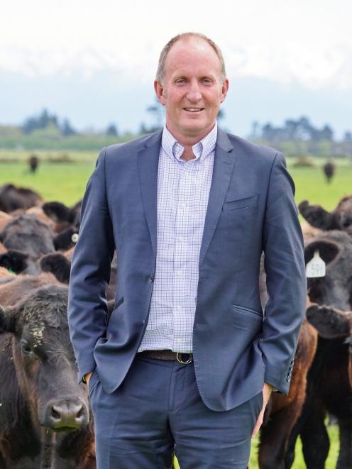 Andrew Morrison. PHOTO: Beef & Lamb NZ