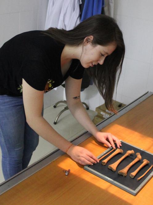 Bioarchaeology PhD student Melandri Vlok examines ancient bones. PHOTO: SUPPLIED