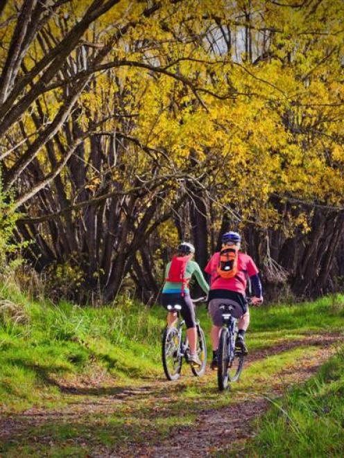 A promotional shot for the proposed new cycle trails. Not everyone has quite such a rosy view....