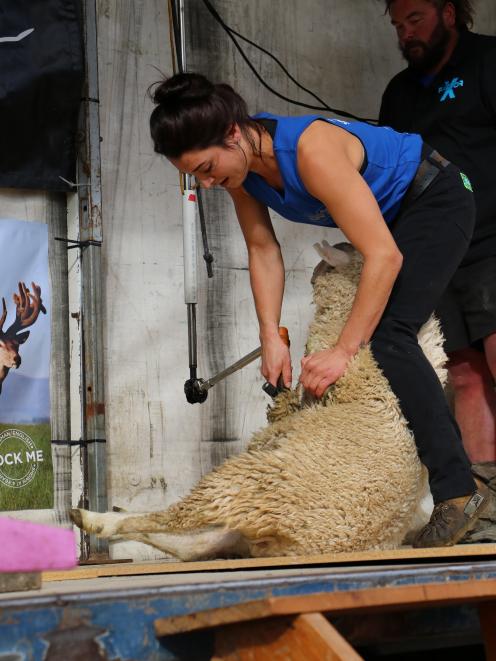 Tokanui shearer Megan Whitehead takes the belly wool off her lamb during the Riversdale Speed...