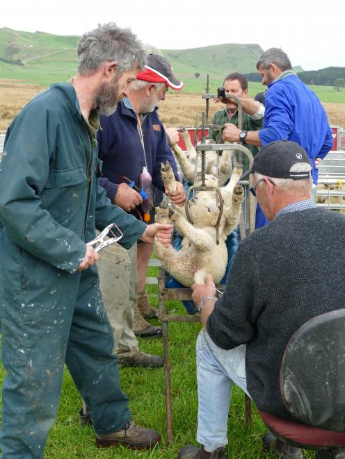 The Clinton Lions tailing drive team operate as a finely tuned machine to raise money for local good causes. PHOTO: RICHARD DAVISON