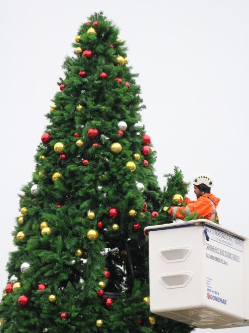 Contractors work to bring Oamaru’s Christmas tree to life, in front of the Waitaki District...