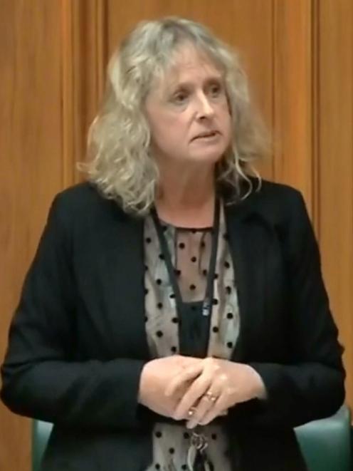 Invercargill list MP Liz Craig speaks in support 
of drug checking legislation.PHOTOS: SUPPLIED