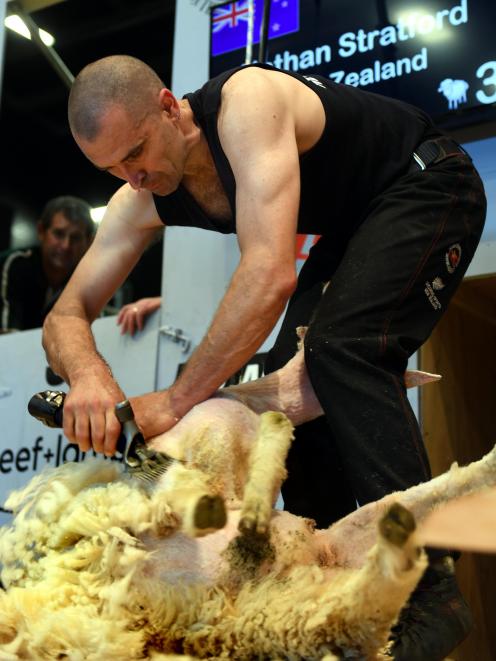 Nathan Stratford competes in the World Shearing Championships in Invercargill in 2017. PHOTO:...