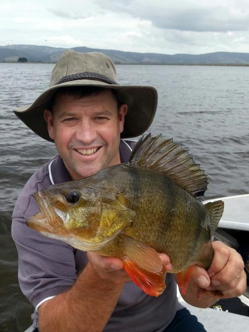 Otago Fish and Game chief executive Ian Hadland with a 1.5kg redfin perch at Lake Waihola. PHOTO:...