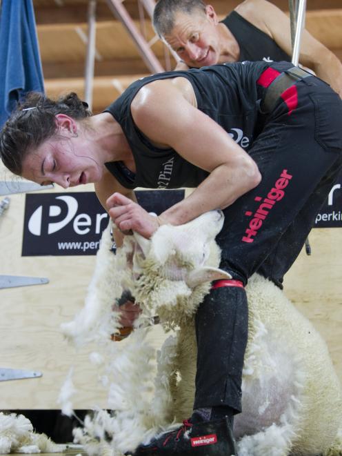 Gore shearer Megan Whitehead takes the fleece off another lamb, watched by father Quentin, on her...