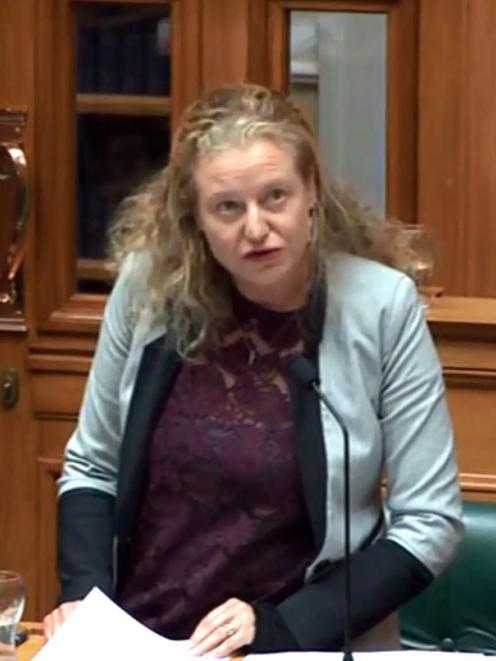 Dunedin-based Labour list MP Rachel Brooking gives her maiden speech in Parliament on Wednesday....