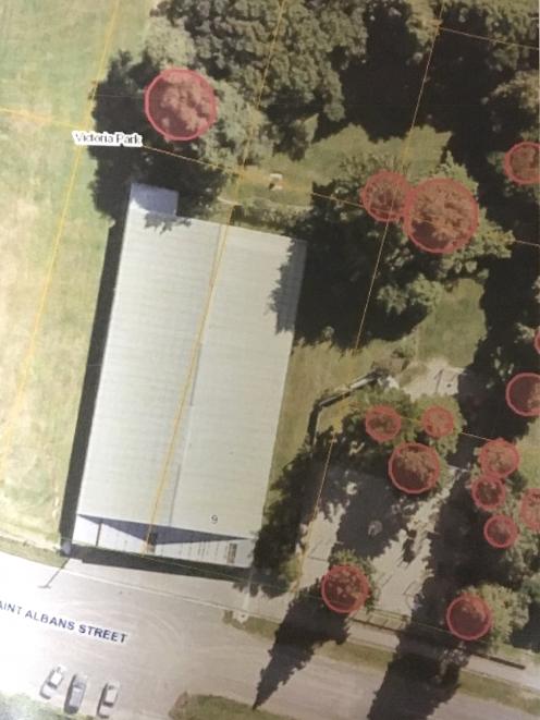 A satellite image shows the Kaitangata Community Pool and neighbouring trees under consideration...