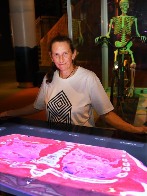 Otago Museum science communicator Catriona Gower with an interactive exhibit showing, in red...