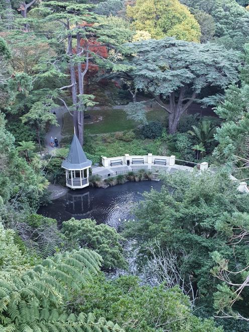 A tranquil spot within Wellington Botanic Garden. 