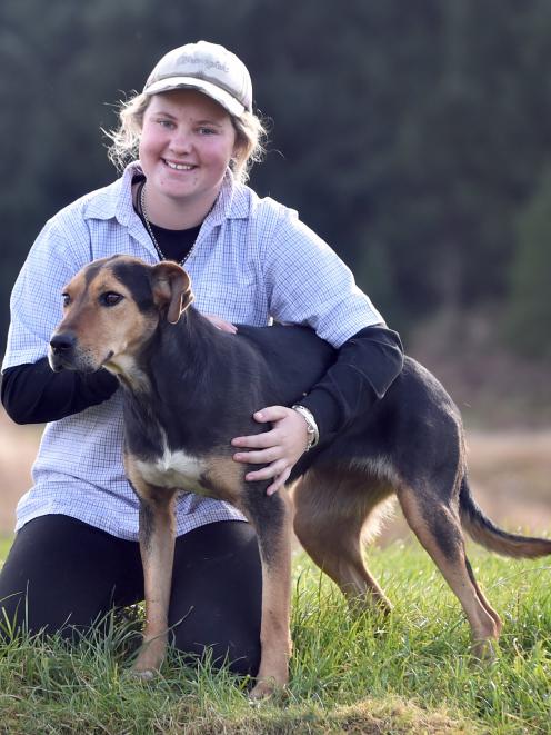 South Island and New Zealand Sheep Dog Trial Championships competitor Phoebe Smailes and her 3...