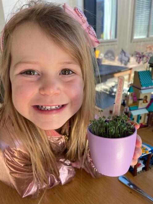 Scarlett McGrouther (4) with her sprouting Hiatt & Co Mighty Minis Microgreens kit.