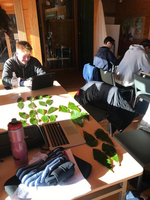 Art Hurring records data to calculate leaf surface area. 
PHOTO: VICKI JOPSON