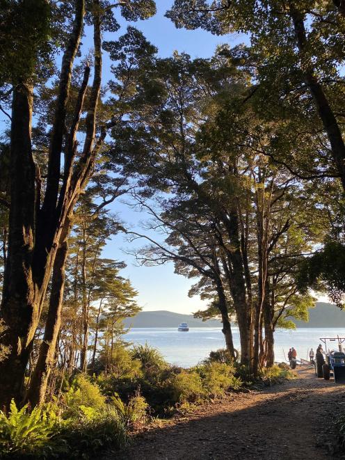 Kisbee Bay in southern Fiordland was once home to the coalmining town of Cromarty; now it is one...